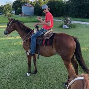 Meet your Posher, Justin